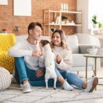 深入探索qsty235.com:一个全新的网站体验与功能解析 50kd2kp