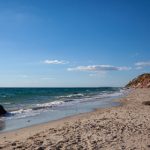 海鸥体育官网:畅享精彩体育赛事的最佳平台 kn6flf9