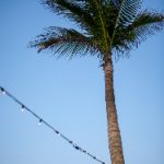 深入解析澳门即时盘口的运作机制与投注策略 wfvqe96