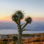 1183期开奖结果最新公布,快来看看你中奖了吗? 0wx240