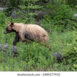 116期开奖结果完整历史记录查询 2029rdk