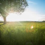 117开奖现场全程直播见证激动人心的时刻 3dg7ta