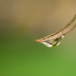 2月5日双色球开奖结果揭晓,大奖花落谁家引关注 a8v49x