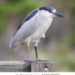 117期开奖资料全面汇总与深度解析 us051v4