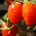 118免费开奖结果查询,最新中奖号码实时更新 xw7odj6s